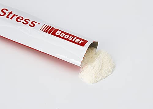 D-STRESS BOOSTER 20 sachets Lot de 2 | Magnésium de 3ème Génération + Taurine + Arginine | Booste l’Énergie Physique et