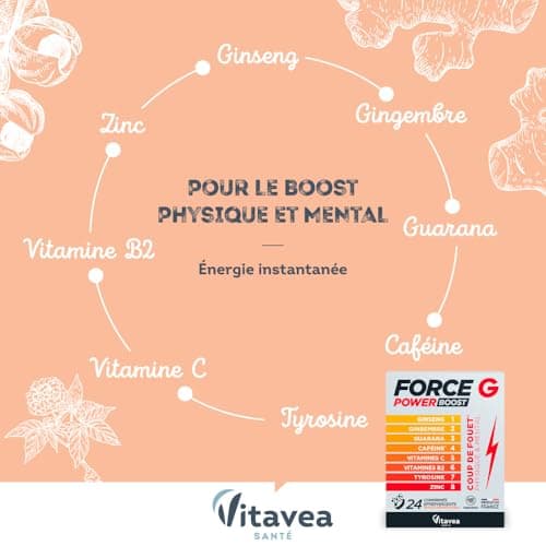 Force G Power Boost - Complément Alimentaire Énergétique avec Ginseng, Gingembre, Guarana et Caféine - Pour Hommes Actif