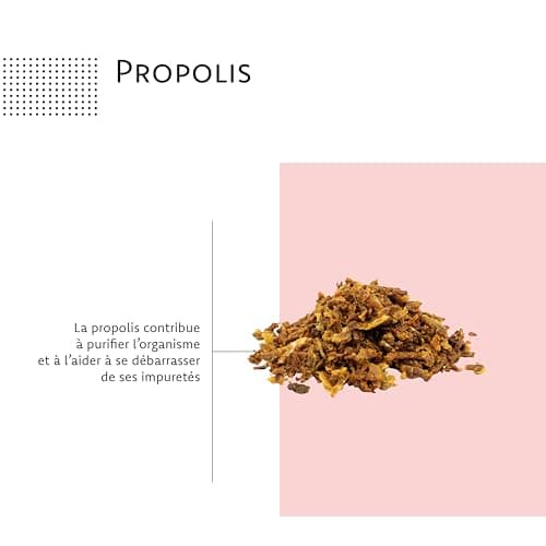 Immunactifs - Complément Alimentaire pour l'Immunité - Huile Essentielle de Ravintsara, Vitamine C, Propolis, Zinc et Cu