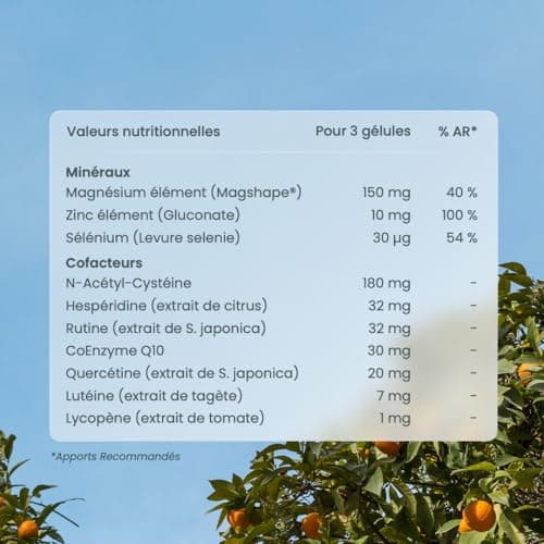 NUTRI & CO Multivitamines Haute Absorption - Multinutriments Vegan Friendly - Pour une Santé Optimale - 90 Gélules Condi